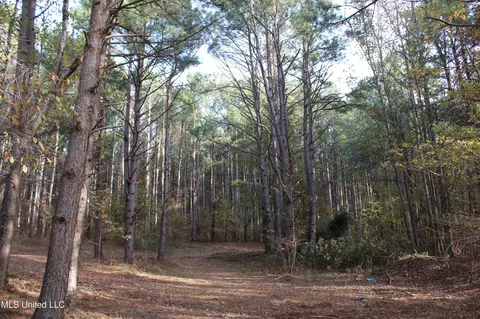 0 S Slayden Rd, Lamar, MS 38642 photo 8