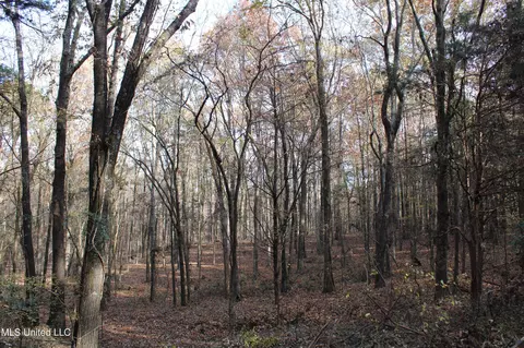 0 S Slayden Rd, Lamar, MS 38642 photo 16