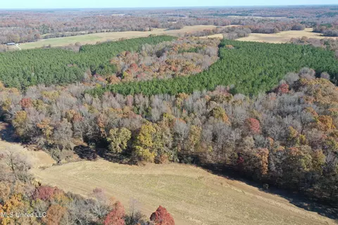 0 S Slayden Rd, Lamar, MS 38642 photo 5