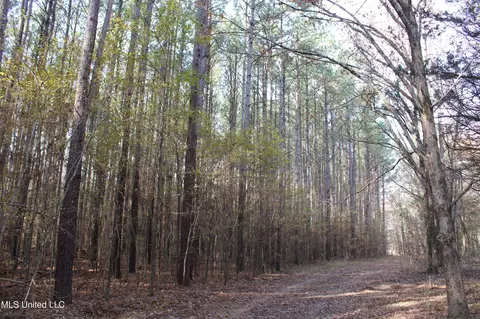 0 S Slayden Rd, Lamar, MS 38642 photo 17