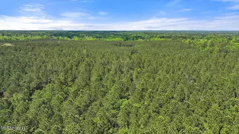 005 Pilgrim Rest Dr, Brandon, MS 39047 photo 33