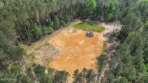 005 Pilgrim Rest Dr, Brandon, MS 39047 photo 30