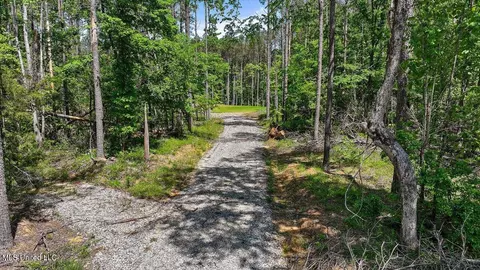 005 Pilgrim Rest Dr, Brandon, MS 39047 photo 37