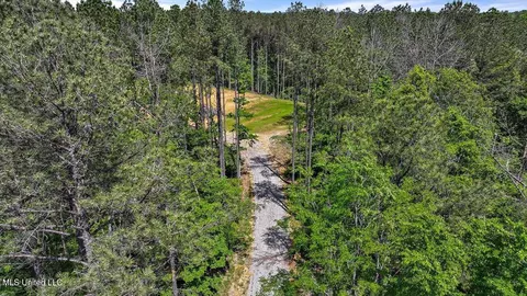 005 Pilgrim Rest Dr, Brandon, MS 39047 photo 42
