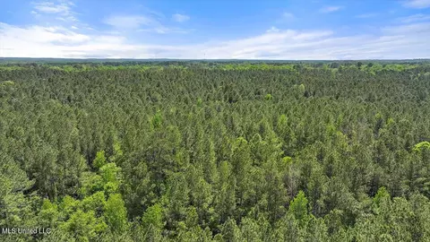 005 Pilgrim Rest Dr, Brandon, MS 39047 photo 34