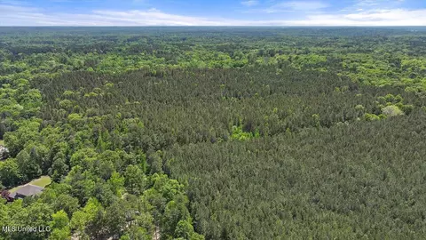005 Pilgrim Rest Dr, Brandon, MS 39047 photo 21