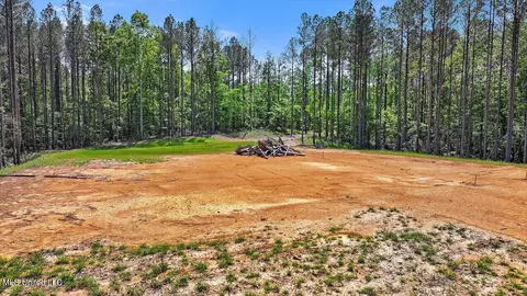 005 Pilgrim Rest Dr, Brandon, MS 39047 photo 7