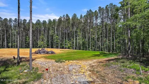 005 Pilgrim Rest Dr, Brandon, MS 39047 photo 4
