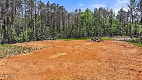 005 Pilgrim Rest Dr, Brandon, MS 39047 photo 6