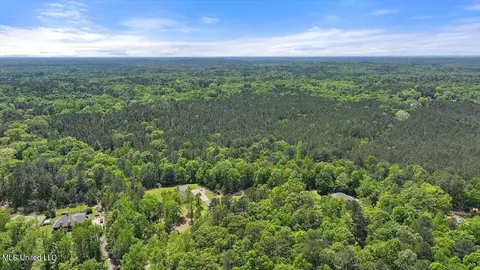 005 Pilgrim Rest Dr, Brandon, MS 39047 photo 19