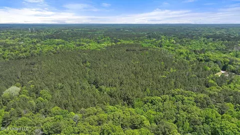 005 Pilgrim Rest Dr, Brandon, MS 39047 photo 24