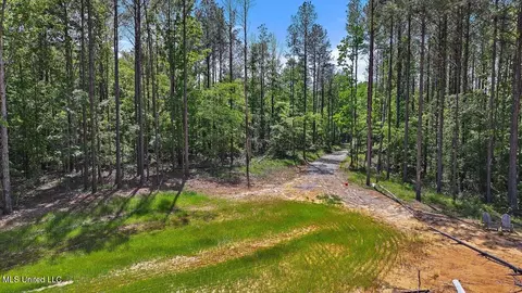 005 Pilgrim Rest Dr, Brandon, MS 39047 photo 38