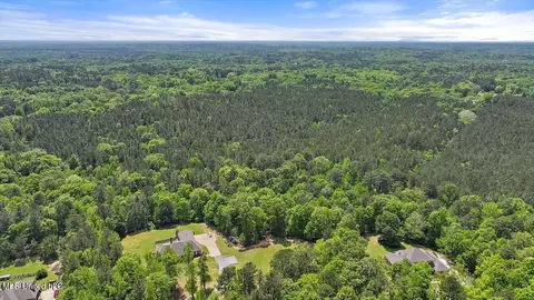 005 Pilgrim Rest Dr, Brandon, MS 39047 photo 20