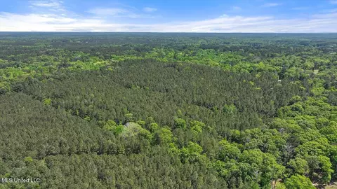 005 Pilgrim Rest Dr, Brandon, MS 39047 photo 23