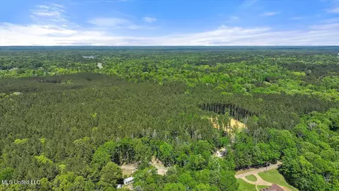 005 Pilgrim Rest Dr, Brandon, MS 39047 photo 26