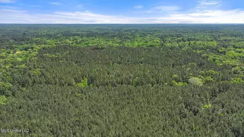 005 Pilgrim Rest Dr, Brandon, MS 39047 photo 22