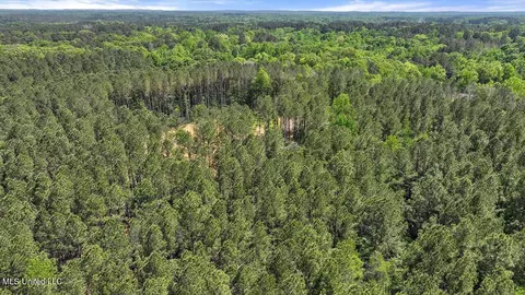 005 Pilgrim Rest Dr, Brandon, MS 39047 photo 36