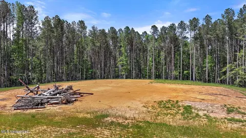 005 Pilgrim Rest Dr, Brandon, MS 39047 photo 5
