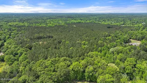005 Pilgrim Rest Dr, Brandon, MS 39047 photo 17