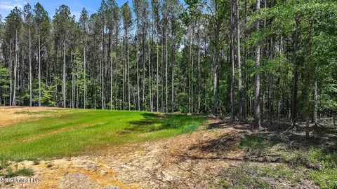 005 Pilgrim Rest Dr, Brandon, MS 39047 photo 39