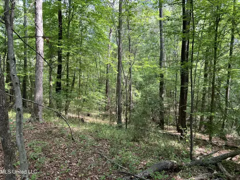 Hwy 49, D'lo, MS 39062 photo 8