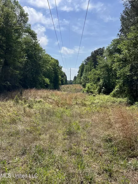 Hwy 49, D'lo, MS 39062 photo 4