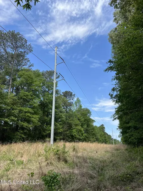 Hwy 49, D'lo, MS 39062 photo 5