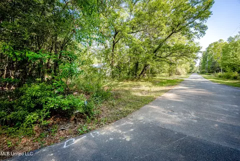 Other - 21521 Billy Johnson Rd, Moss Point, MS 39562 photo 11 of 12