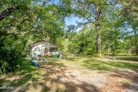 Exterior - 21521 Billy Johnson Rd, Moss Point, MS 39562 photo 17 of 25