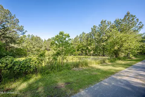 Other - 21521 Billy Johnson Rd, Moss Point, MS 39562 photo 10 of 12