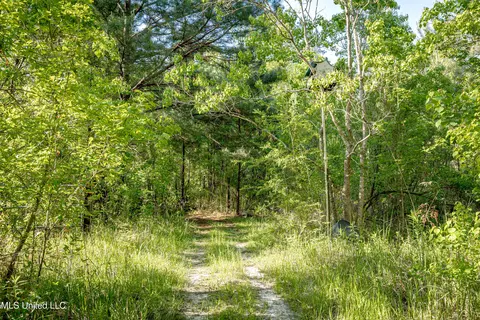 Other - 21521 Billy Johnson Rd, Moss Point, MS 39562 photo 9 of 12