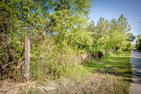Other - 21521 Billy Johnson Rd, Moss Point, MS 39562 photo 12 of 12