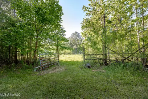 Exterior - 21521 Billy Johnson Rd, Moss Point, MS 39562 photo 13 of 25
