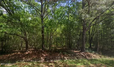 0 Petite Acres Dr, Bay Saint Louis, MS 39520