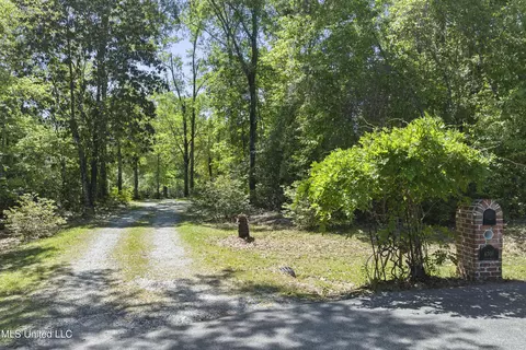 6701 Little Bluff Cv, Vancleave, MS 39565