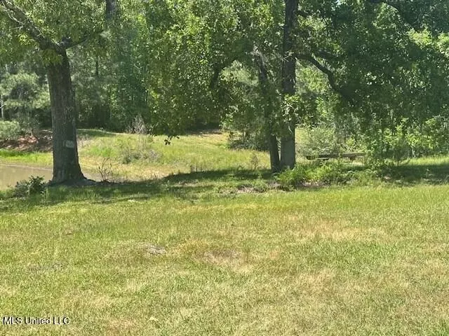 Other - 65 Quitman Perry Rd, Carriere, MS 39426 photo 11 of 12