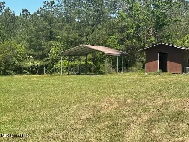 Exterior - 65 Quitman Perry Rd, Carriere, MS 39426 photo 2 of 3