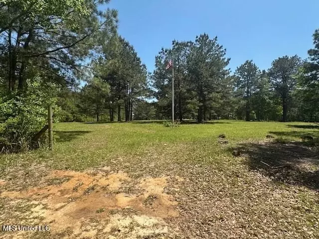 Other - 65 Quitman Perry Rd, Carriere, MS 39426 photo 7 of 12