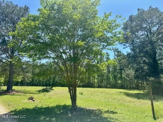 Other - 65 Quitman Perry Rd, Carriere, MS 39426 photo 5 of 12