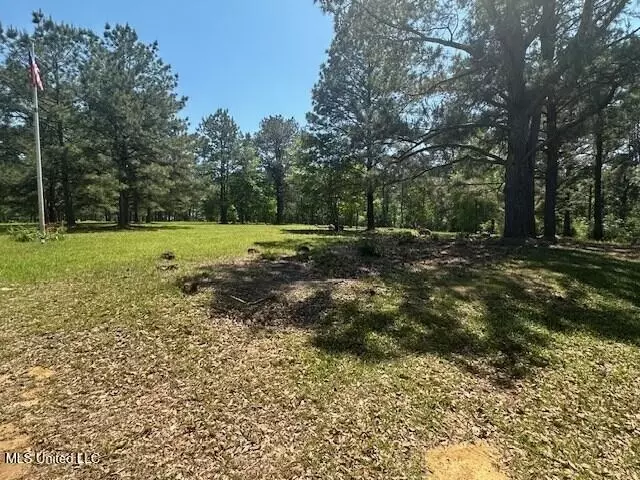 Other - 65 Quitman Perry Rd, Carriere, MS 39426 photo 8 of 12