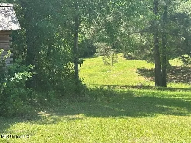 Exterior - 65 Quitman Perry Rd, Carriere, MS 39426 photo 3 of 3