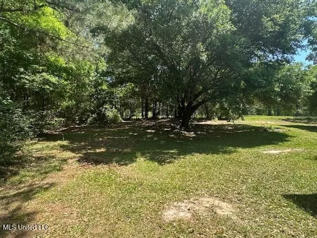 Other - 65 Quitman Perry Rd, Carriere, MS 39426 photo 9 of 12