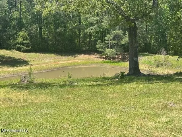 Other - 65 Quitman Perry Rd, Carriere, MS 39426 photo 12 of 12