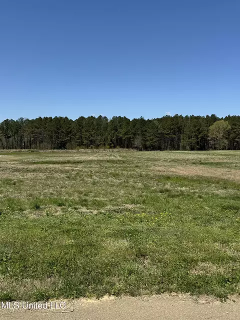 535 Clark Stables Rd, Brandon, MS 39047