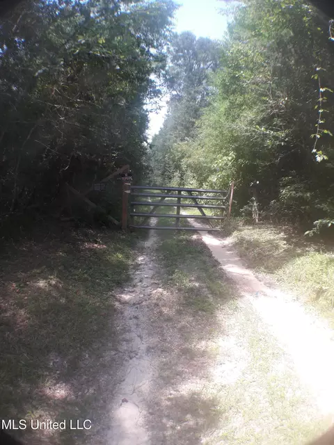 21902 Old River Rd, Vancleave, MS 39565 photo 1