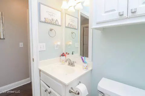 Bath - 1028 Wakefield Pl, Brandon, MS 39047 photo 10 of 10