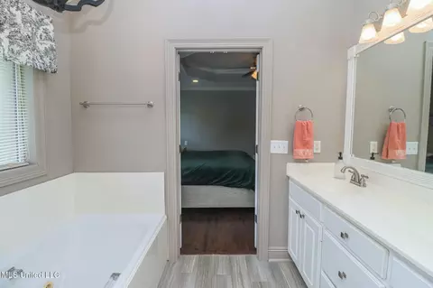 Bath - 1028 Wakefield Pl, Brandon, MS 39047 photo 6 of 10