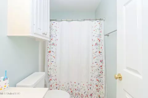 Bath - 1028 Wakefield Pl, Brandon, MS 39047 photo 8 of 10