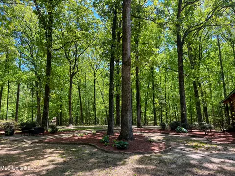 Exterior - 2432 Attala Rd, Kosciusko, MS 39090 photo 10 of 21