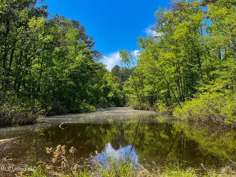 View/Area - 2432 Attala Rd, Kosciusko, MS 39090 photo 1 of 16